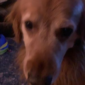 Meet your Posher, Jimmy